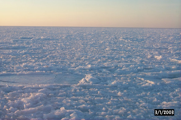 Surf/Heli Sampling (other sites)