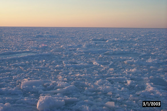 Surf/Heli Sampling (other sites)