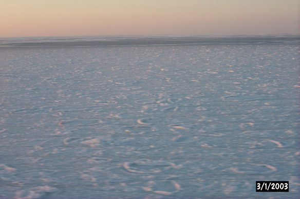 Surf/Heli Sampling (other sites)