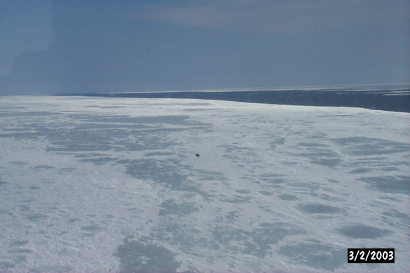 Looking over shear zone