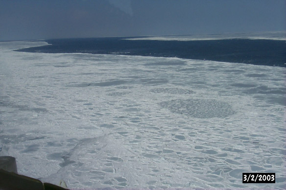 Looking over shear zone