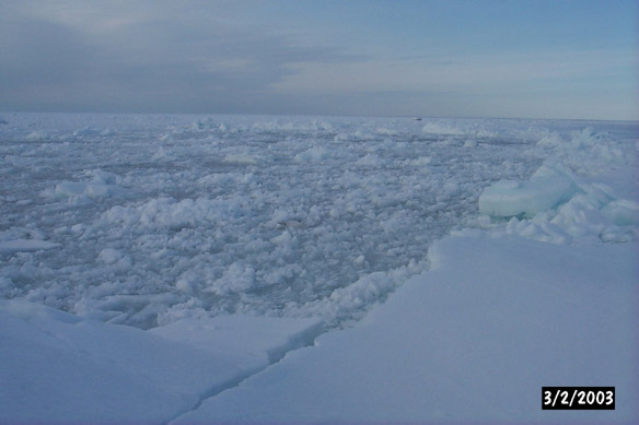 People on cobble ice