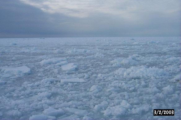 People on cobble ice