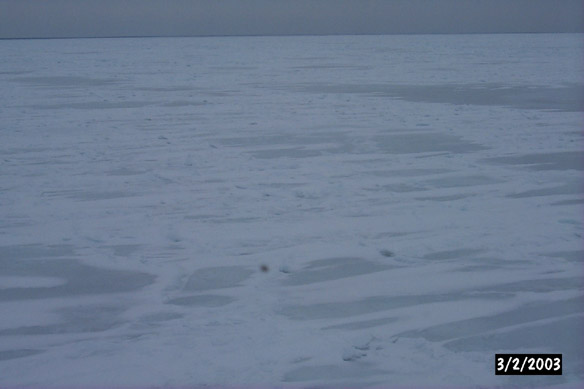 Various at Sampling sites