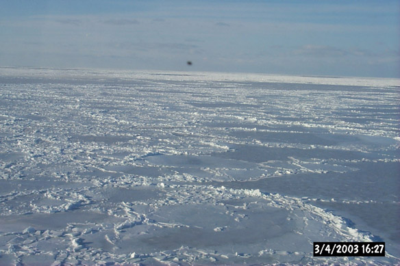 Wiggly, refrozen leads & various