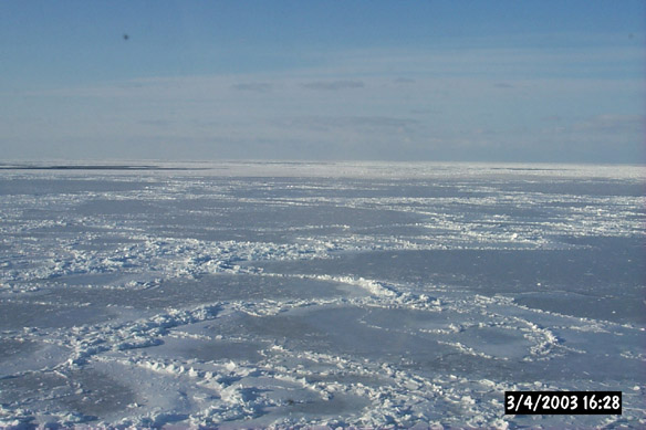 Wiggly, refrozen leads & various