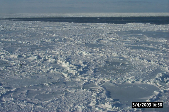 Wiggly, refrozen leads & various