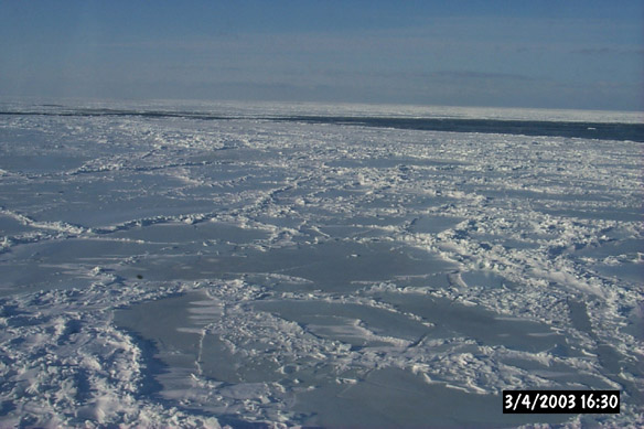 Wiggly, refrozen leads & various