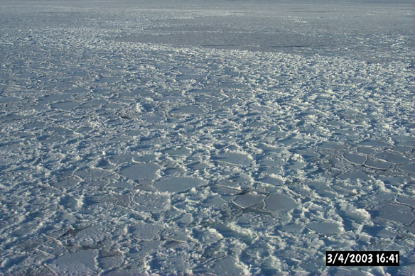 Wiggly, refrozen leads & various