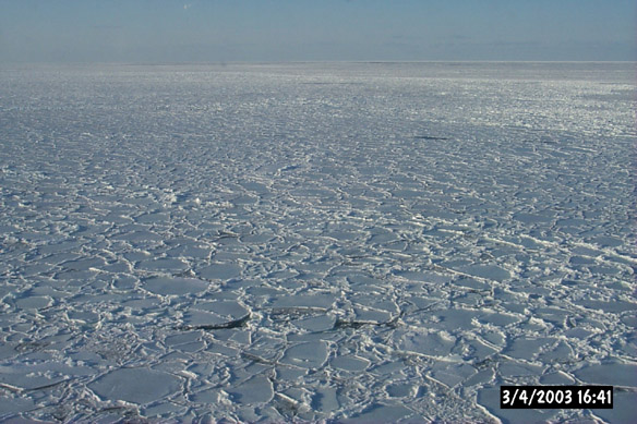 Wiggly, refrozen leads & various