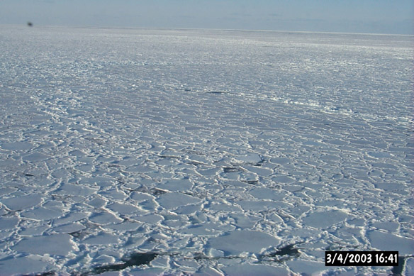 Wiggly, refrozen leads & various