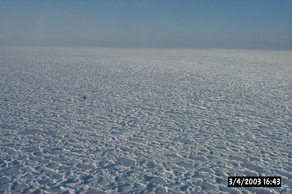 Wiggly, refrozen leads & various