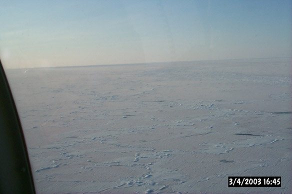 Wiggly, refrozen leads & various