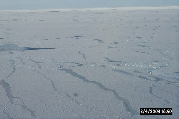 Wiggly, refrozen leads & various