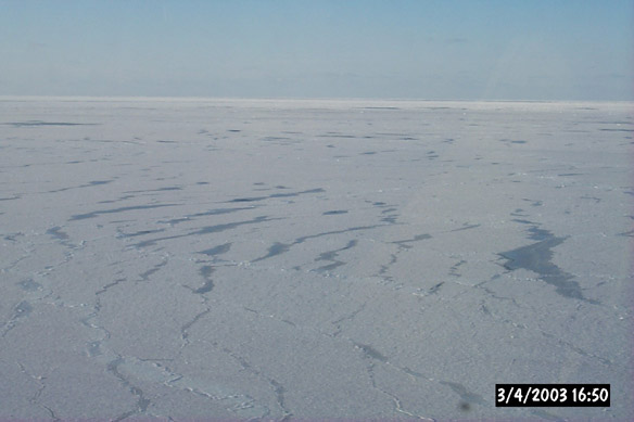 Wiggly, refrozen leads & various