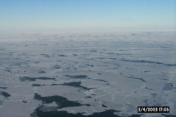 Wiggly, refrozen leads & various