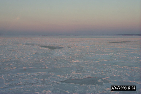 Wiggly, refrozen leads & various