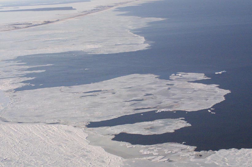 Helicopter Sampling - Site 1