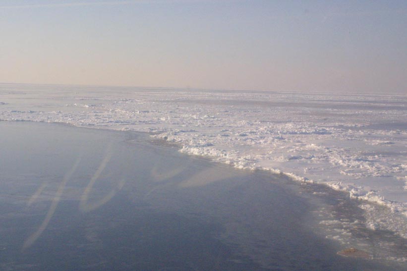 Helicopter Sampling - Site 1