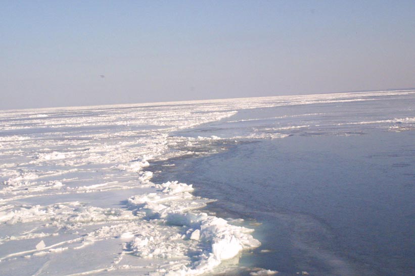 Helicopter Sampling - Site 1