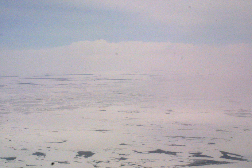 Helicopter Sampling - Site 10