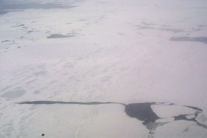 Helicopter Sampling - Site 10