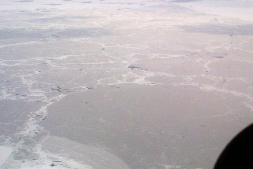 Helicopter Sampling - Site 11