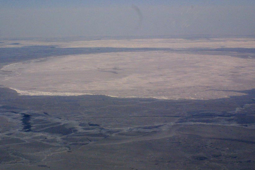 Surface Sampling - Site 2