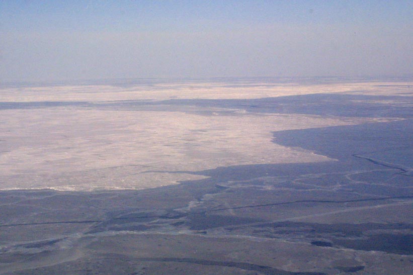 Surface Sampling - Site 2