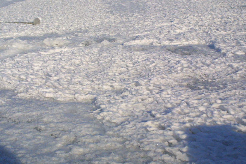 Surface Sampling - Site 2