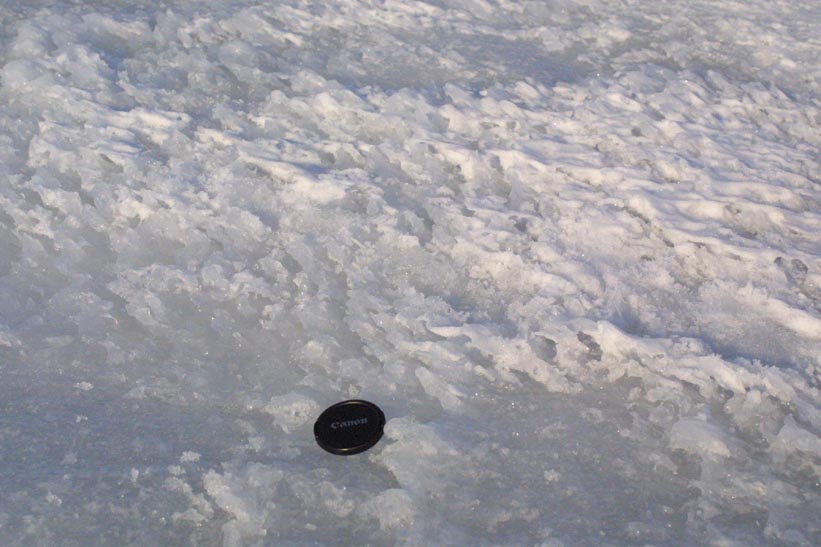 Surface Sampling - Site 2