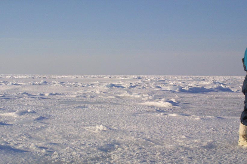 Surface Sampling - Site 2