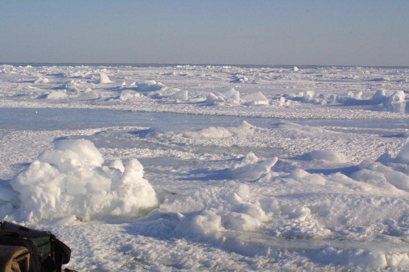 Surface Sampling - Site 2