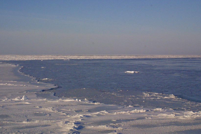 Surface Sampling - Site 2