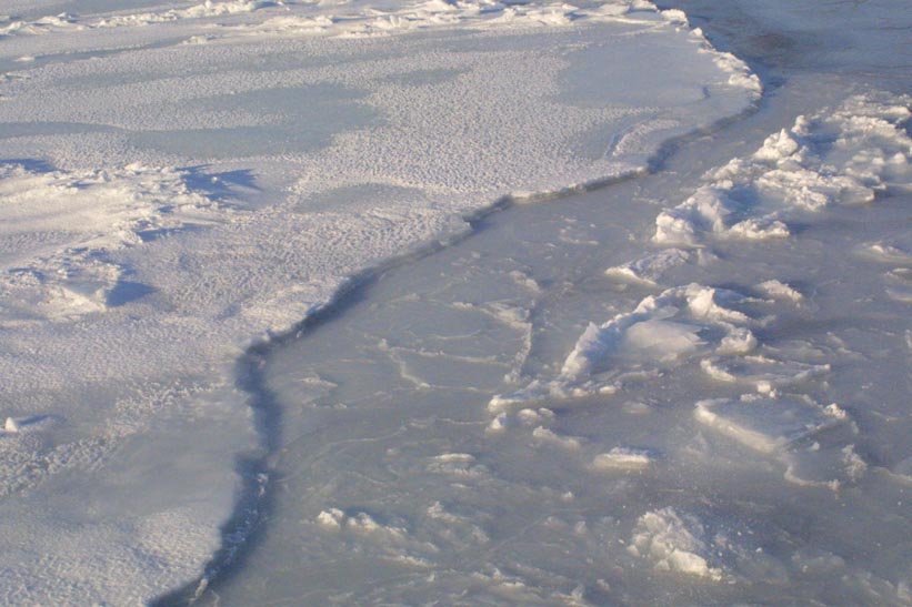 Surface Sampling - Site 2