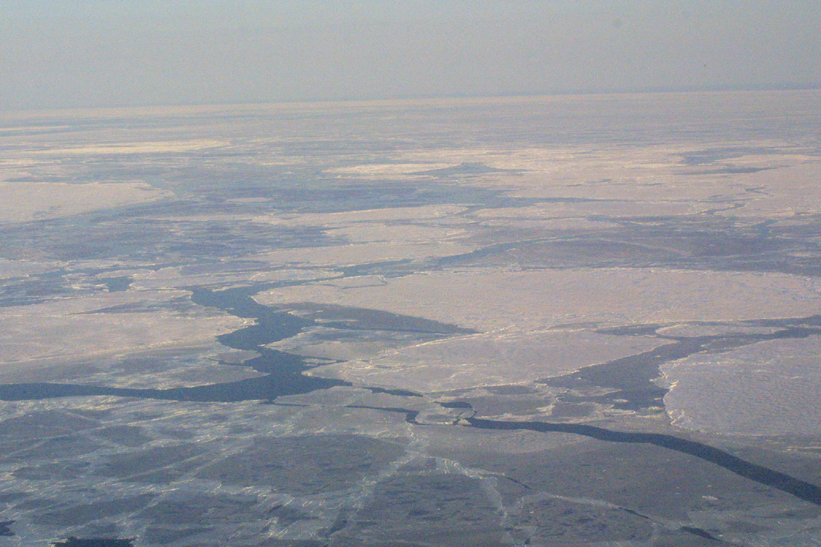 Surface Sampling - Site 4