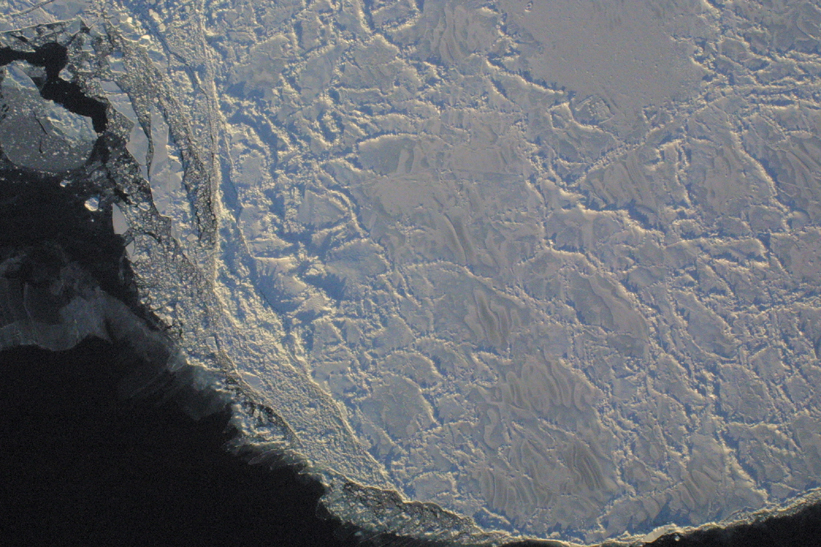 Surface Sampling - Site 4