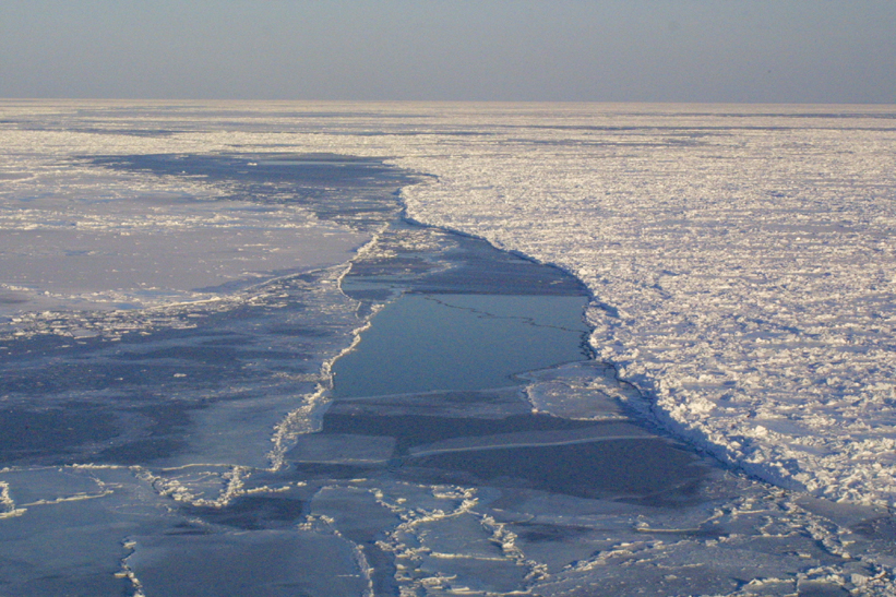 Surface Sampling - Site 4