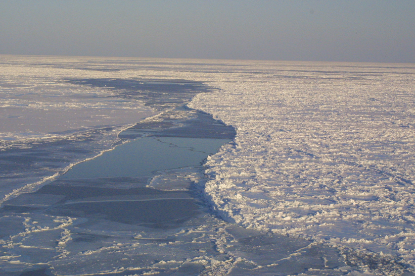 Surface Sampling - Site 4