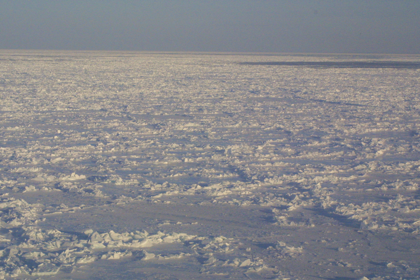 Surface Sampling - Site 4