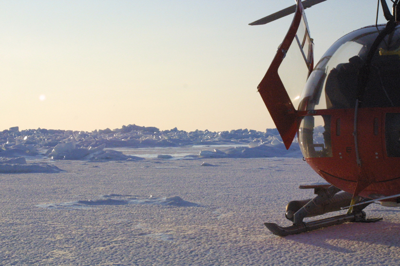 Surface Sampling - Site 4