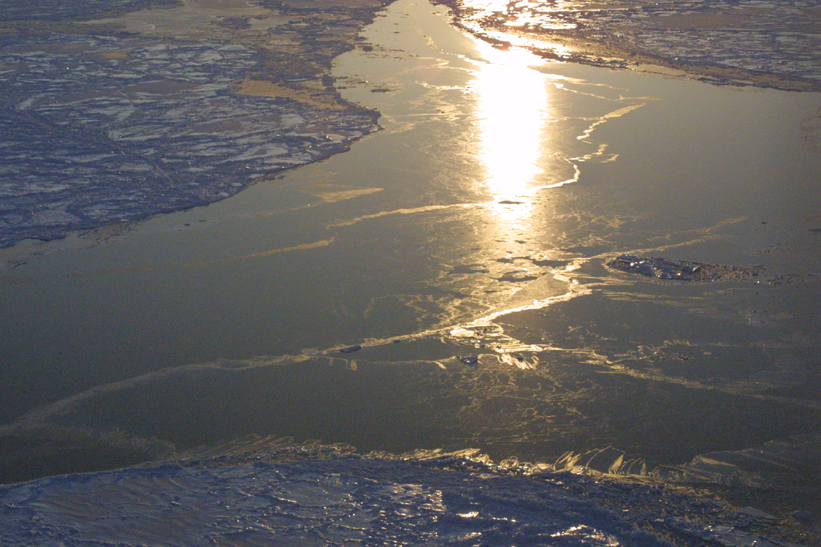 Surface Sampling - Site 4