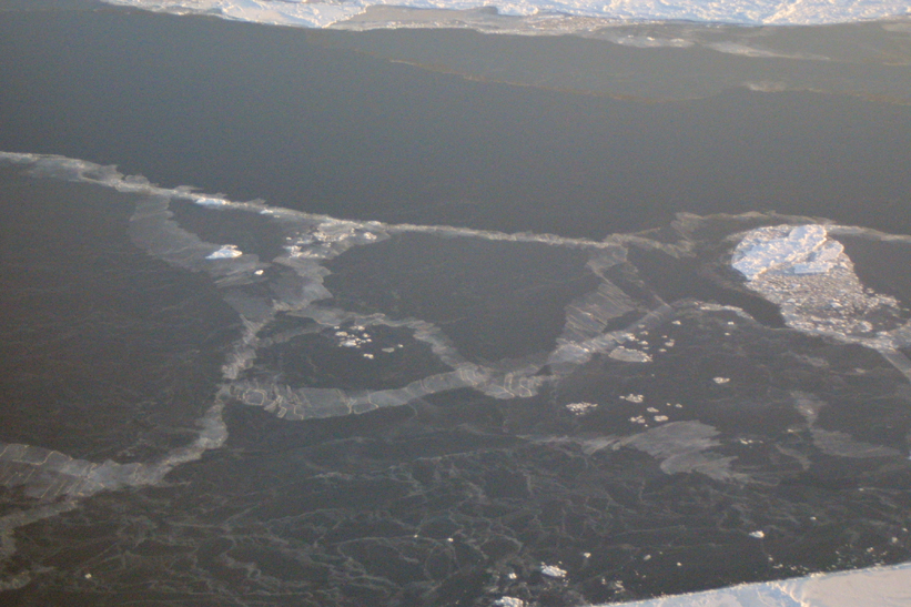 Surface Sampling - Site 4