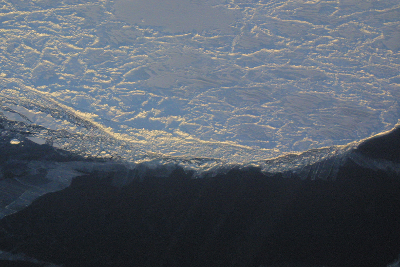 Surface Sampling - Site 4