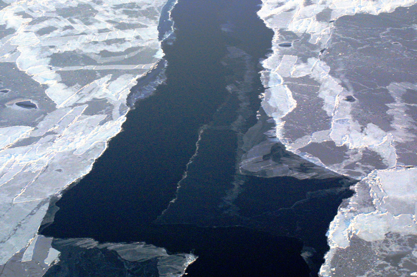 Surface Sampling - Site 5a