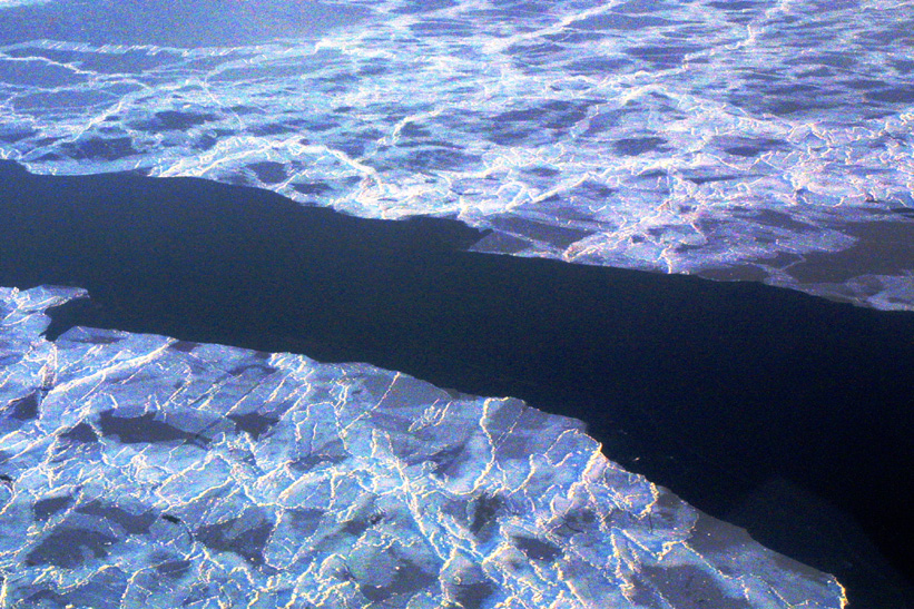 Surface Sampling - Site 5a