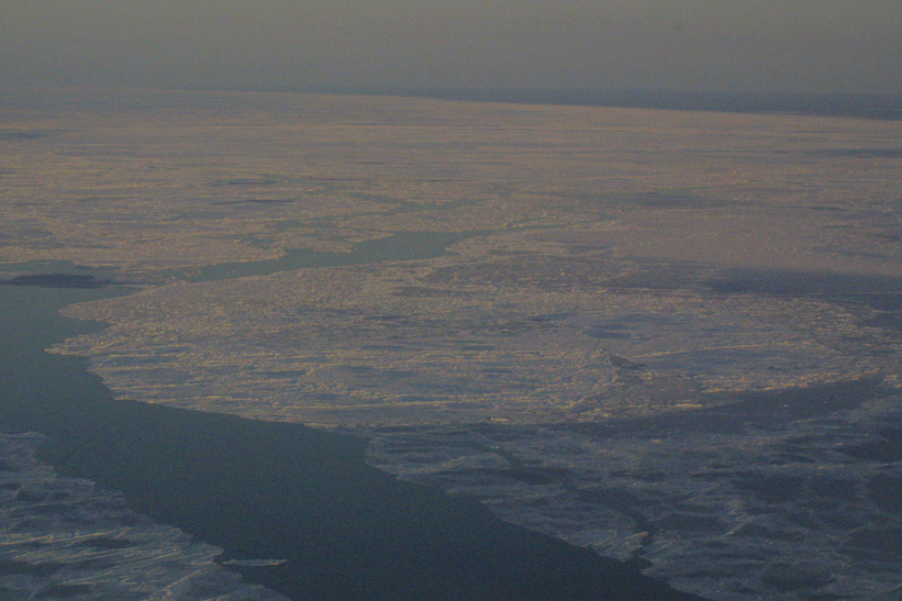 Surface Sampling - Site 5a