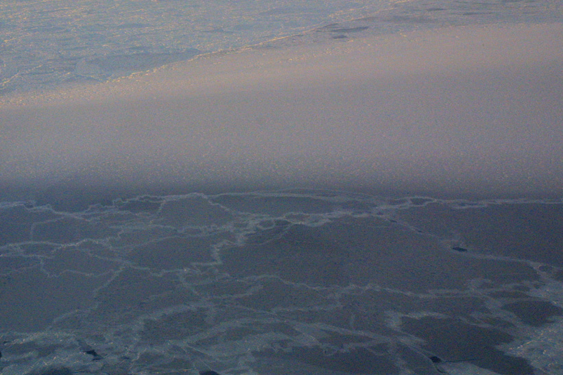 Surface Sampling - Site 5a