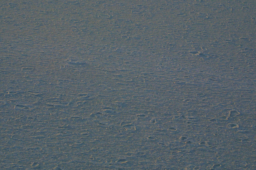 Surface Sampling - Site 5a