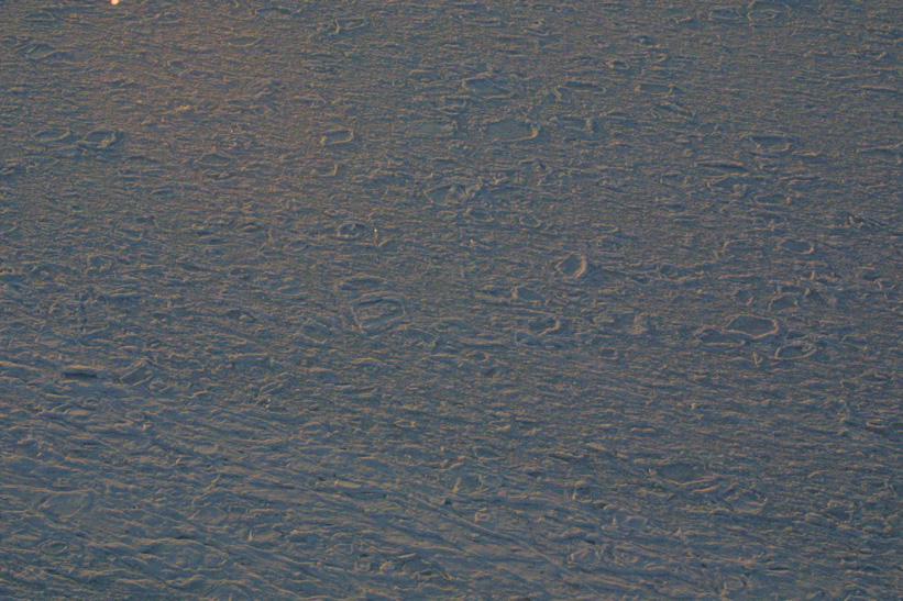 Surface Sampling - Site 5a